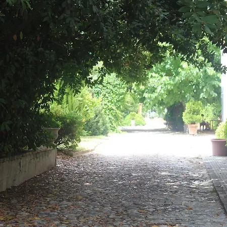 Mas Micalas - Adults Only Hotell 3*