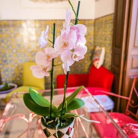 Mas Micalas - Adults Only Hotell Bocairent